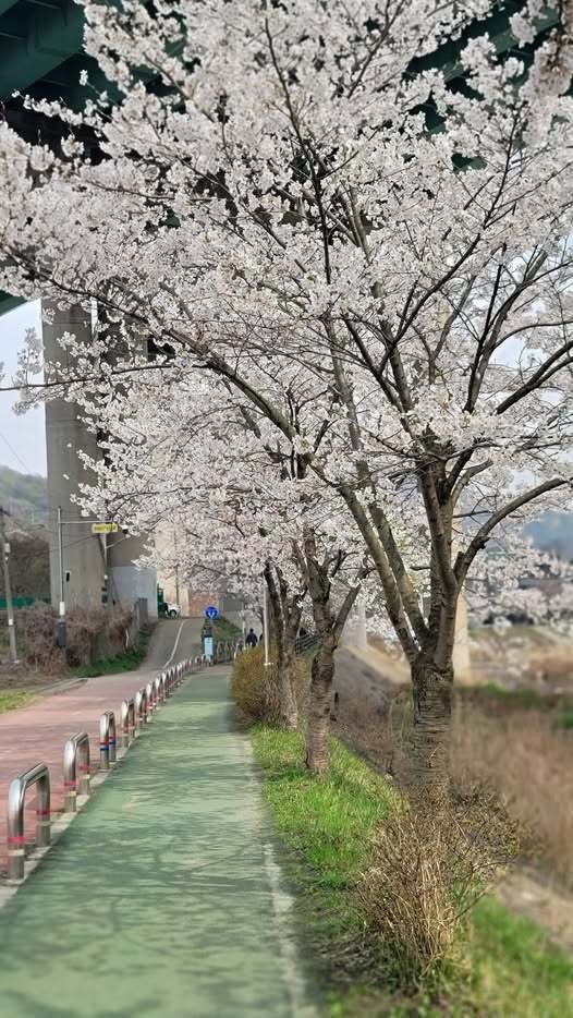 2024.04.09 진리샘교회 이사소식.jpeg 2024.04.09 진리샘교회 이사소식.jpeg
