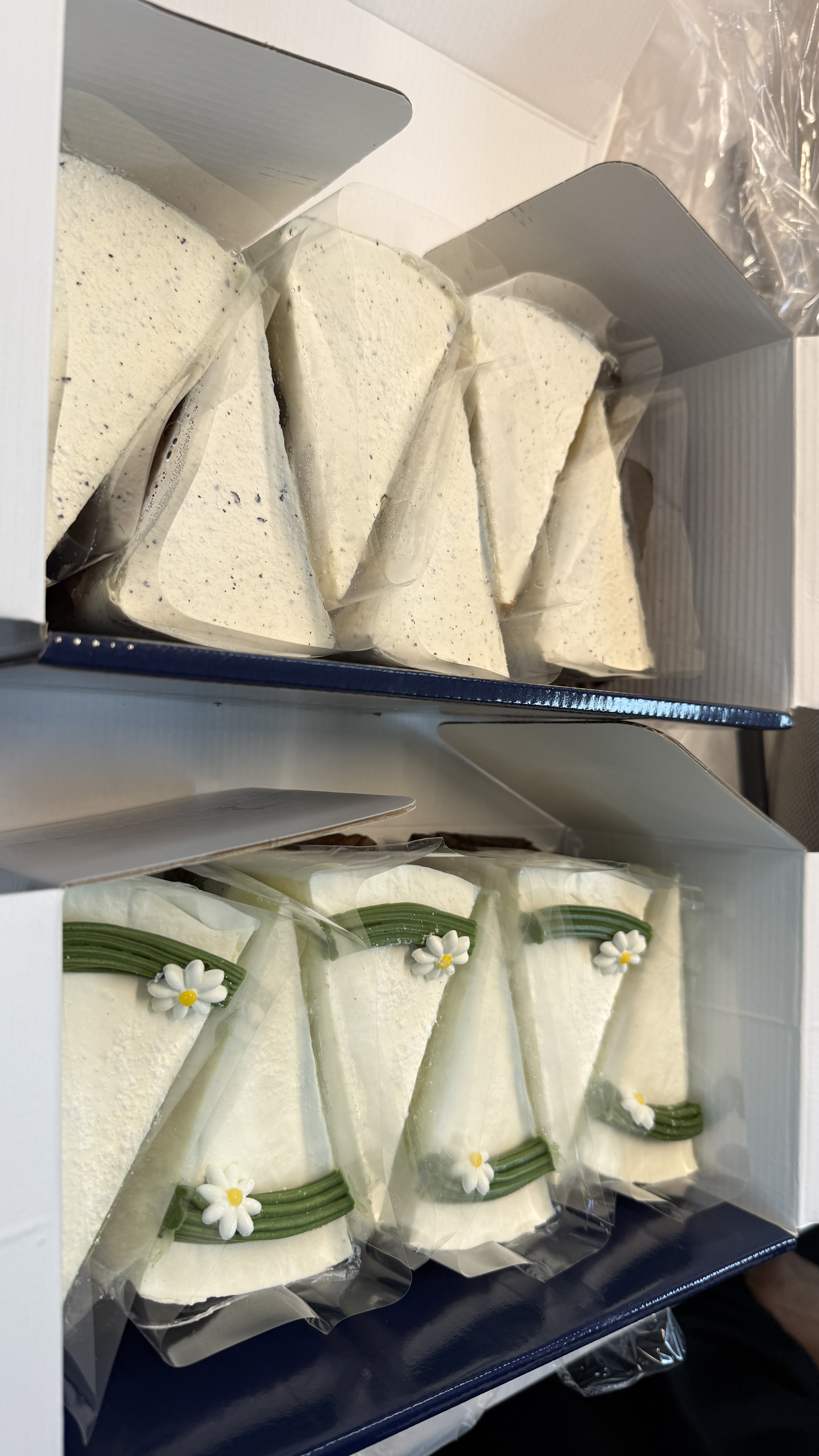 KakaoTalk_20250803_170033863_09.jpg